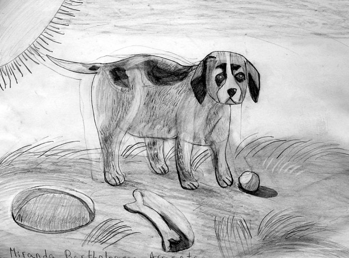 Dog