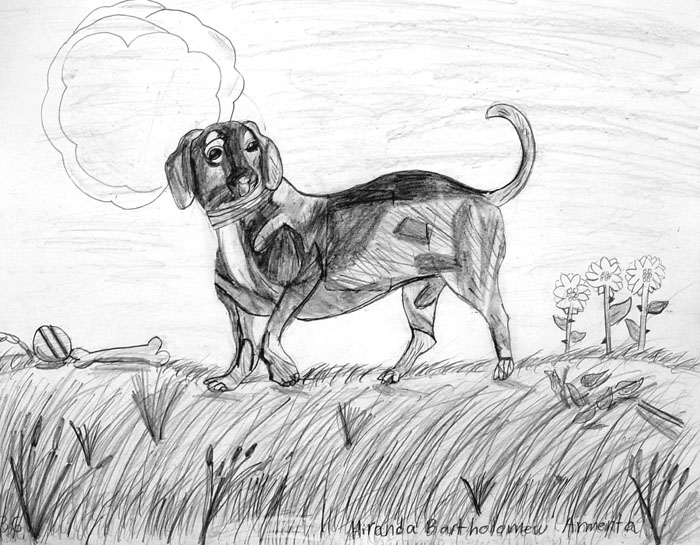 Dog_2