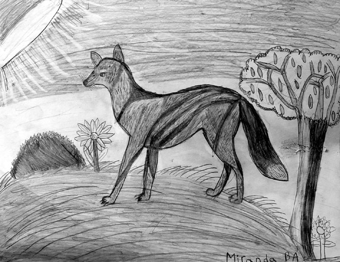 Fox