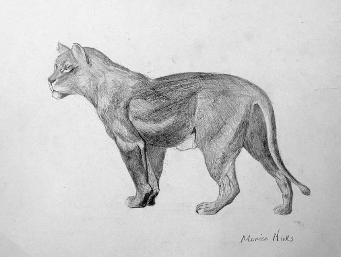 Lion