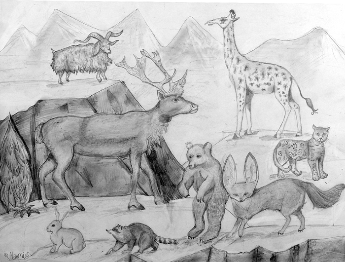Animals_1