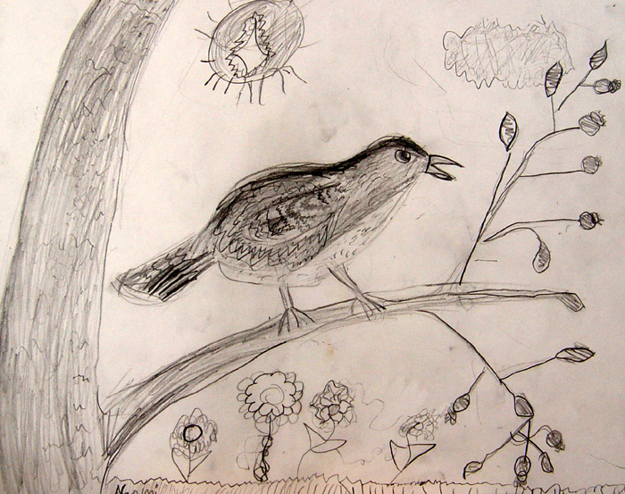 Bird