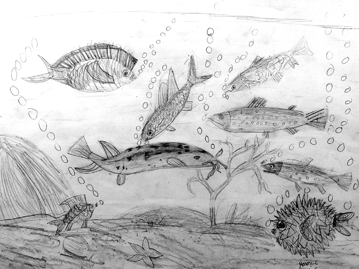 Fish