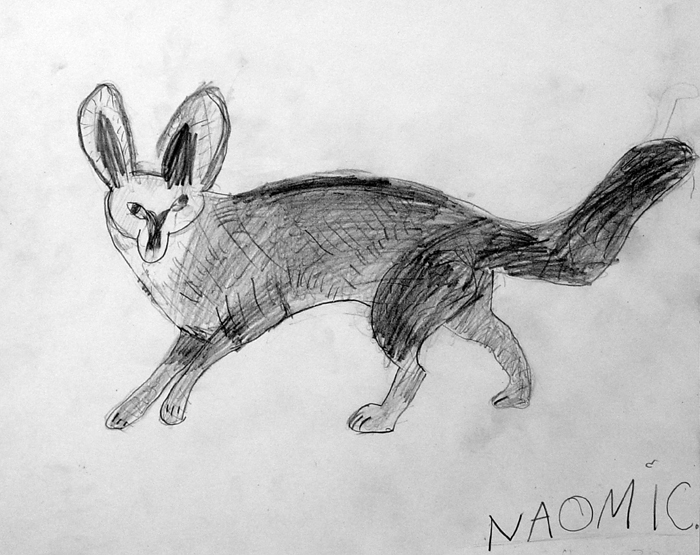 Fox