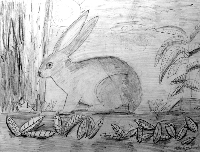 Rabbit