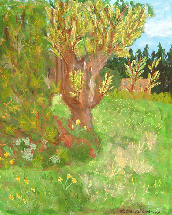 Plein-air_2023