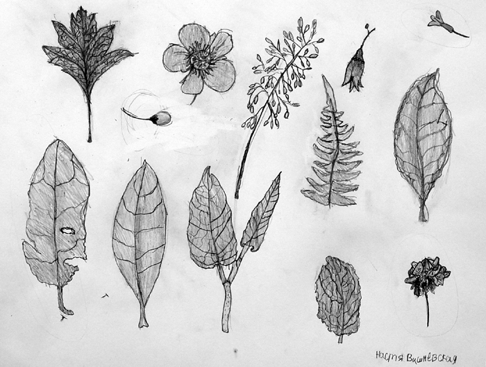 Sketches
