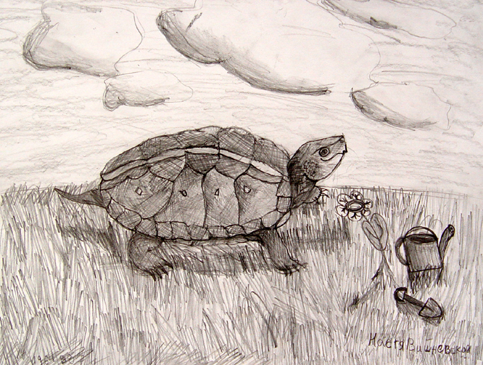 Turtle