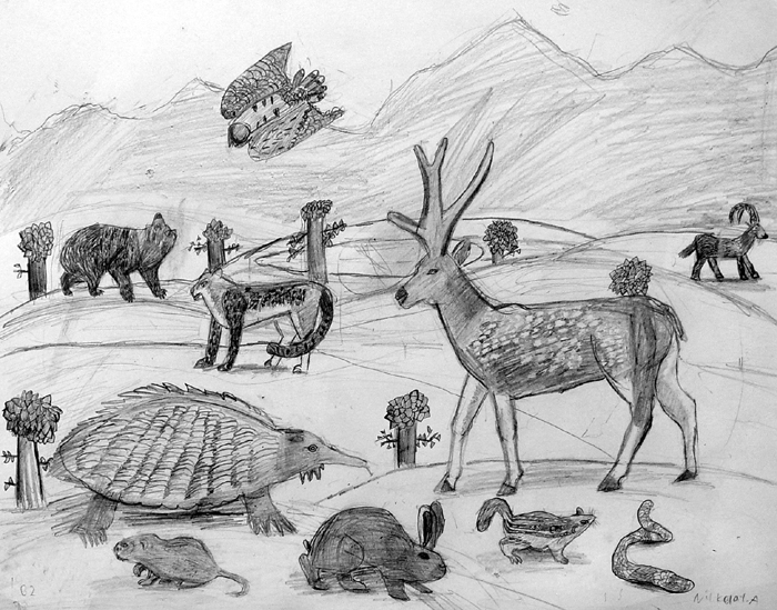 Animals_1