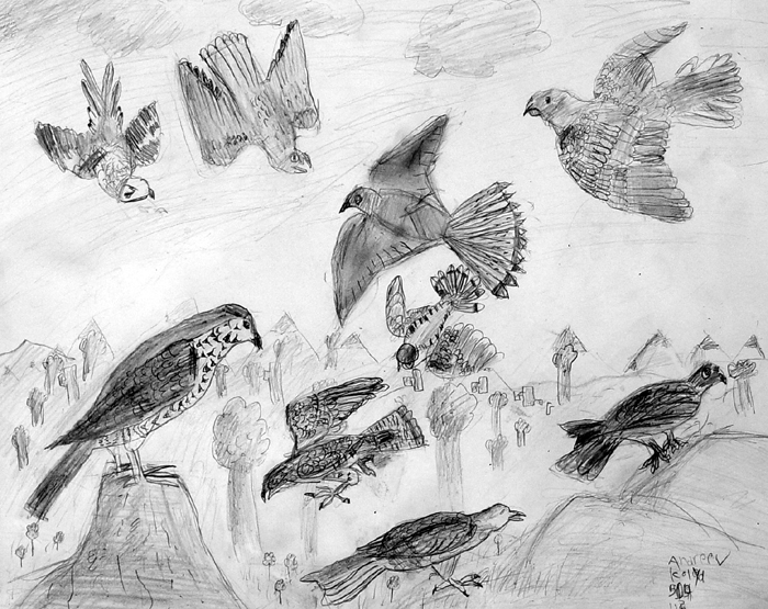 Birds