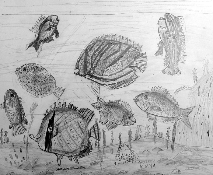 Fish