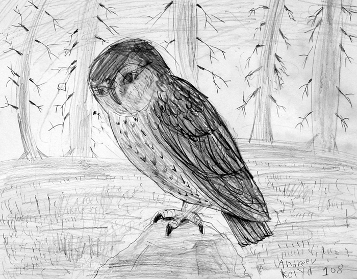 Owl