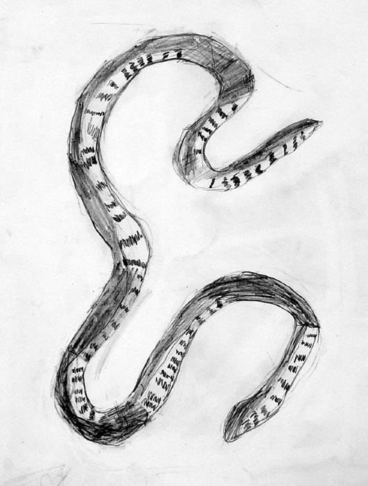 Snake