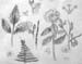 Sketches