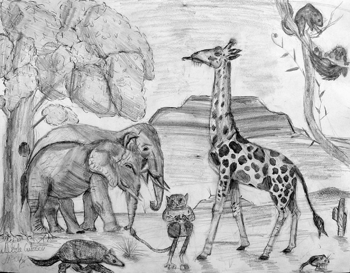Animals_2