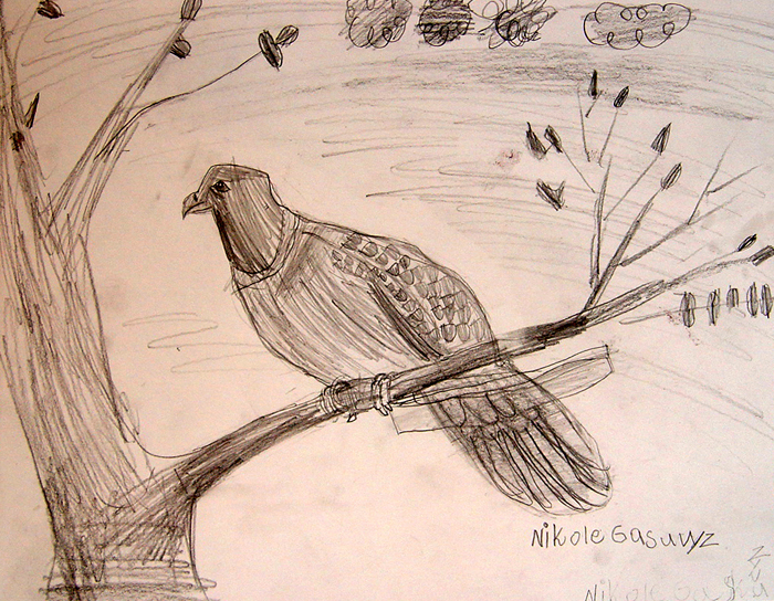 Bird