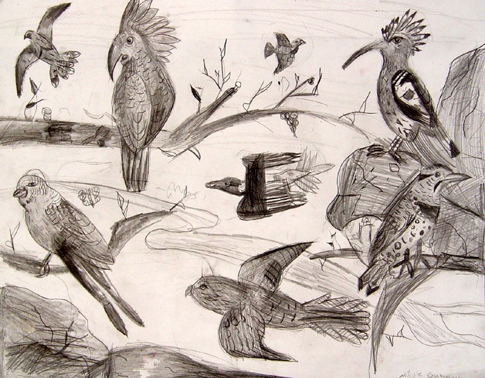 Birds