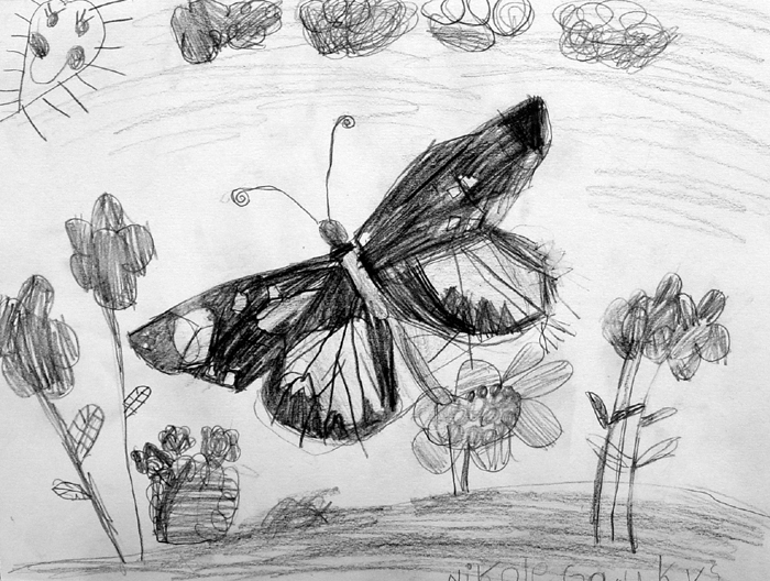 Butterfly