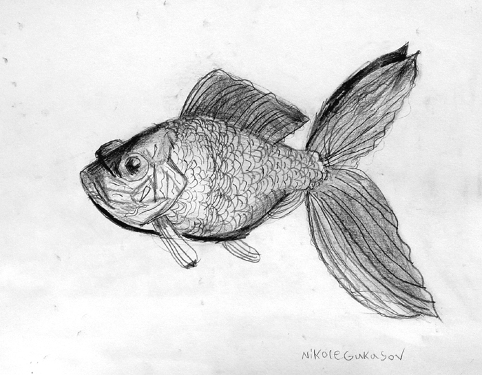 Fish