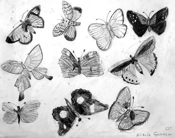 Insects