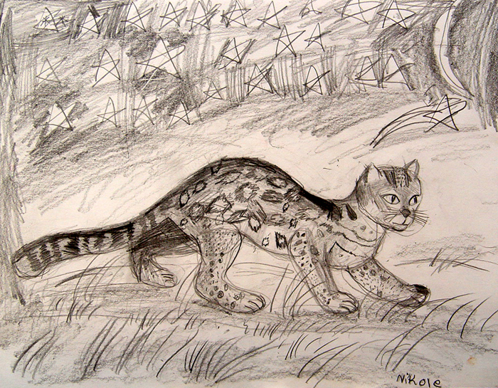 Lynx