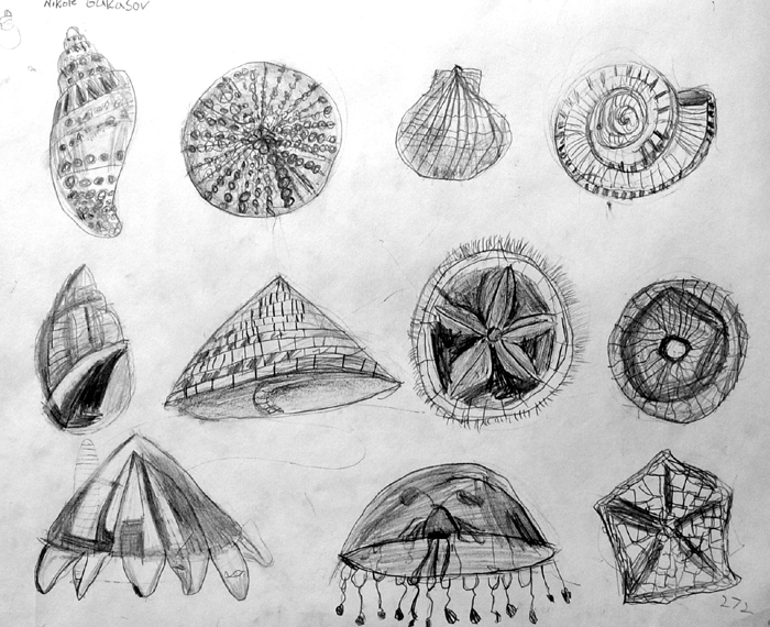 Shells