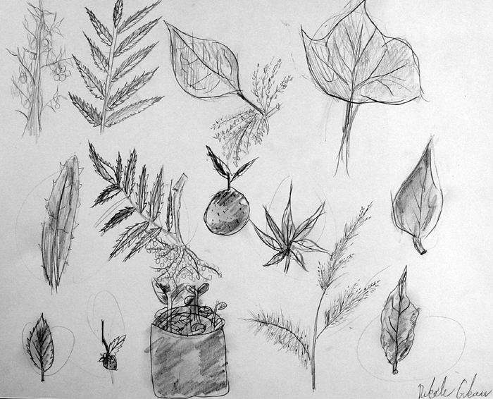 Sketches