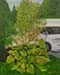 Plein-air_2023