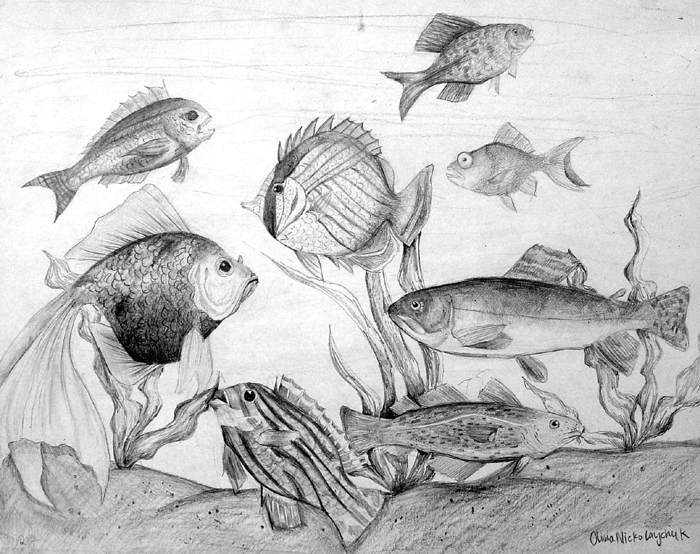 Fish