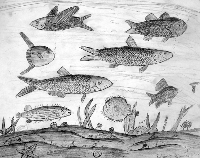 Fish