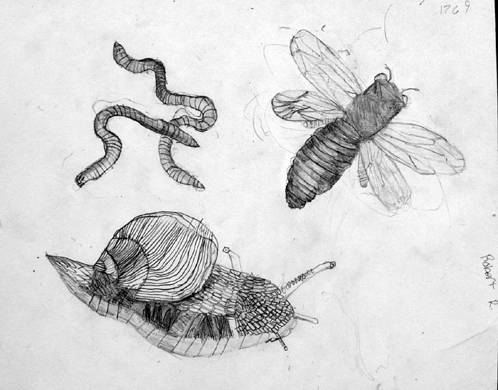 Sketches