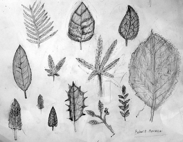 Sketches_2