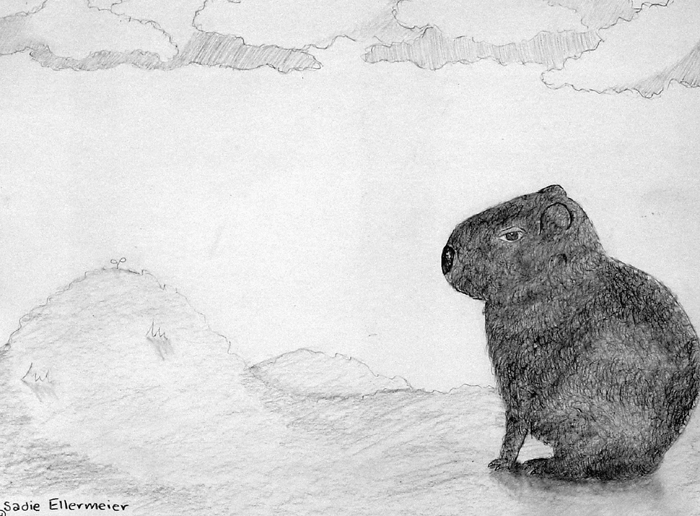 Capibara