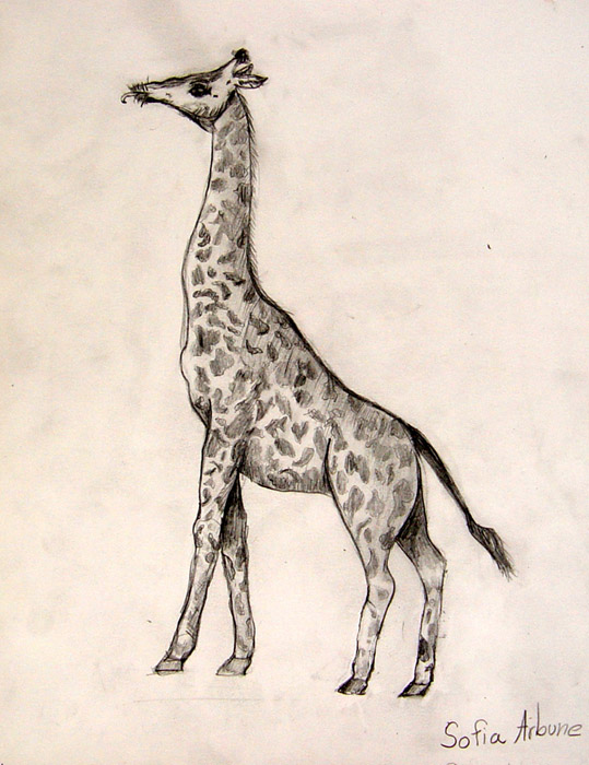 Giraffe