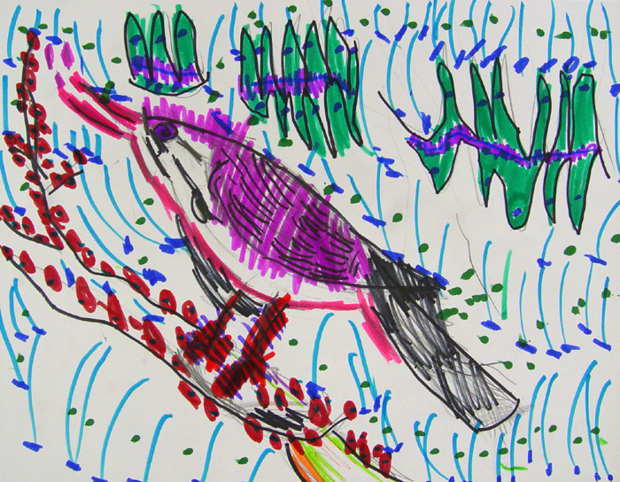 Bird