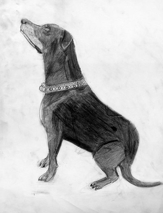 Dog_2