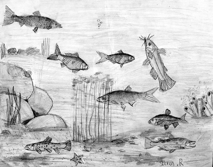 Fish