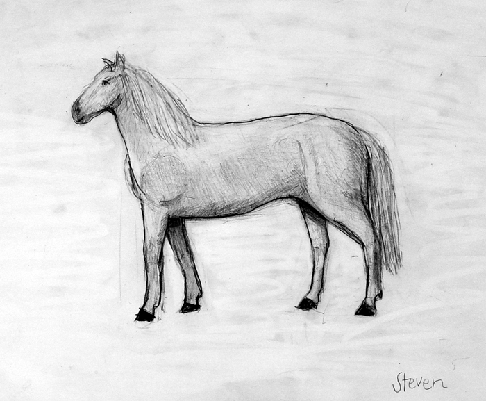 Horse