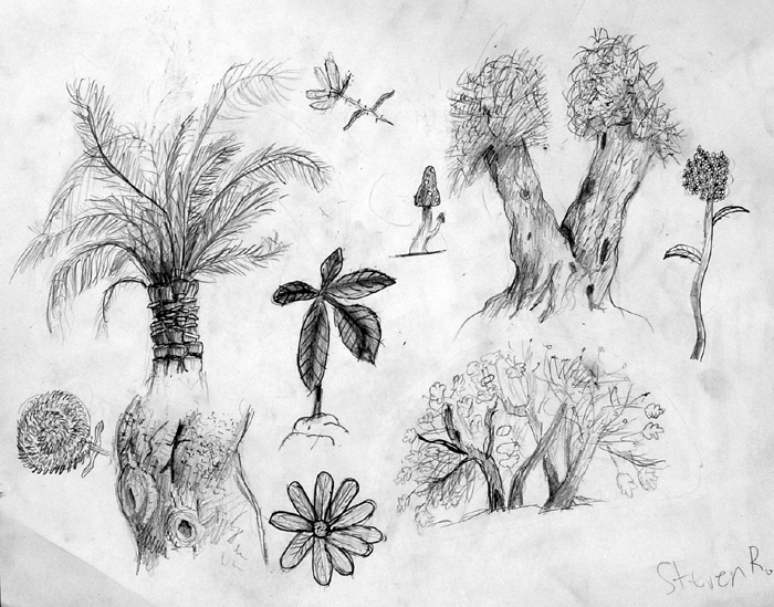 Sketches_2