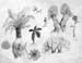 Sketches_2