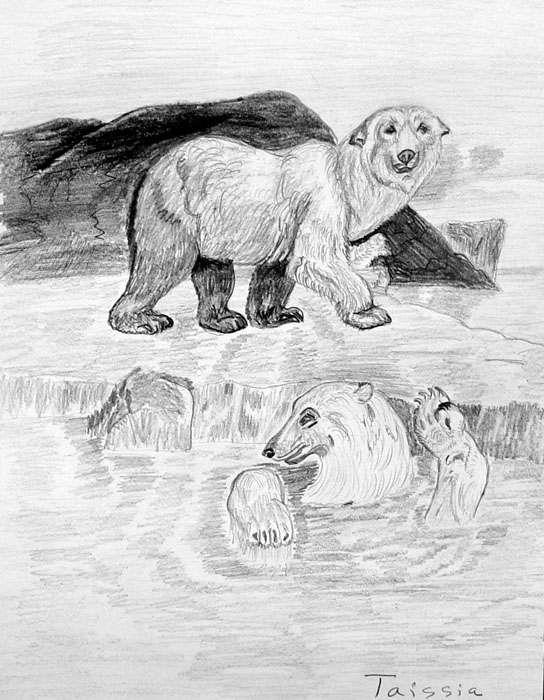 Polar_ bears
