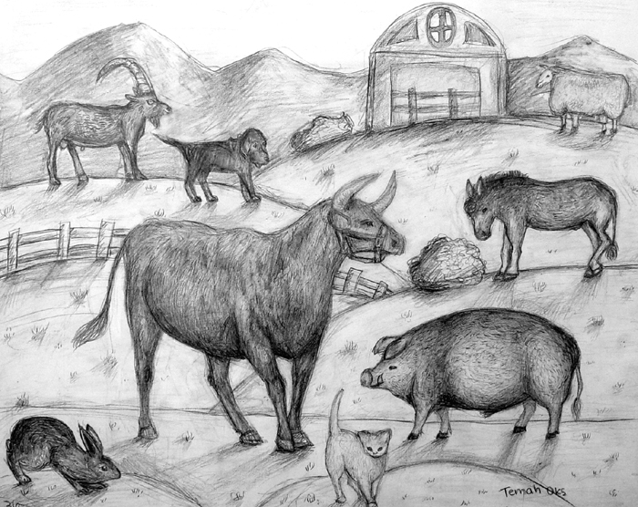 Animals_1