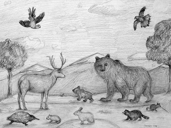 Animals_2