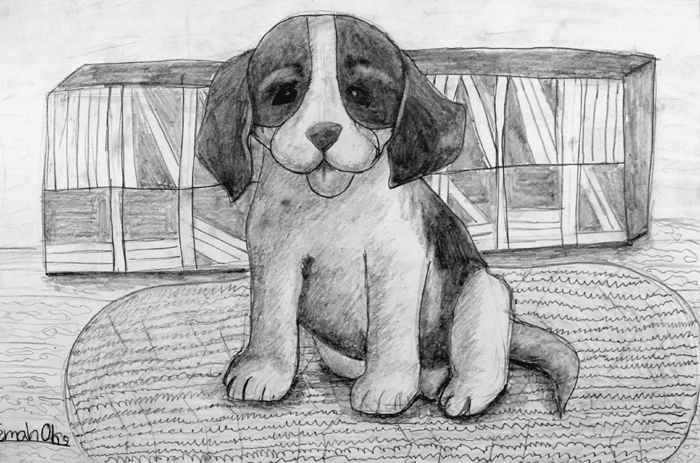Dog