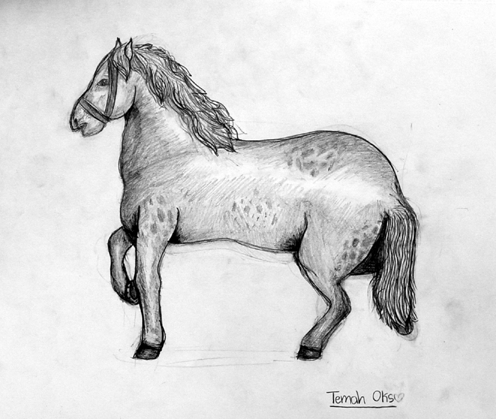 Horse