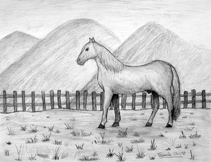 Horse_2