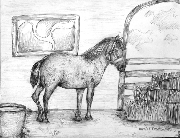 Horse_3