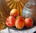 Still-life_1_(study)