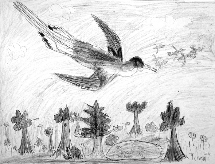 Bird_2