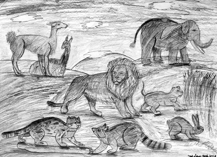 Animals_1